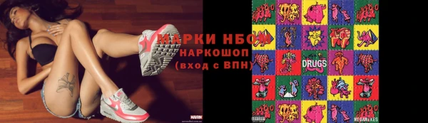 бошки Новозыбков