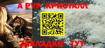 спиды Гатчина