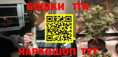 спиды Гатчина