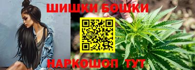 спиды Гатчина