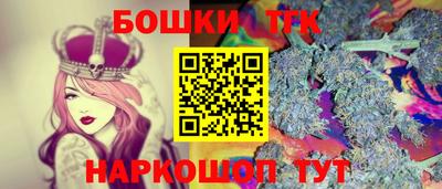 спиды Гатчина