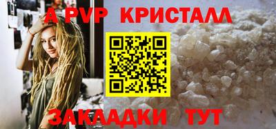 спиды Гатчина