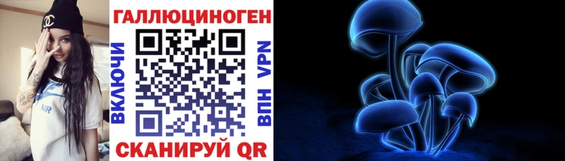 купить закладку  Качканар  Псилоцибиновые грибы мицелий 